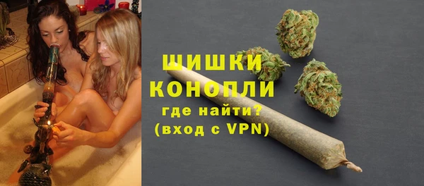 тгк Новозыбков