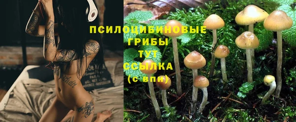 стафф Лихославль