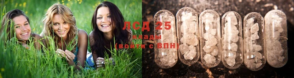 MESCALINE Лиски