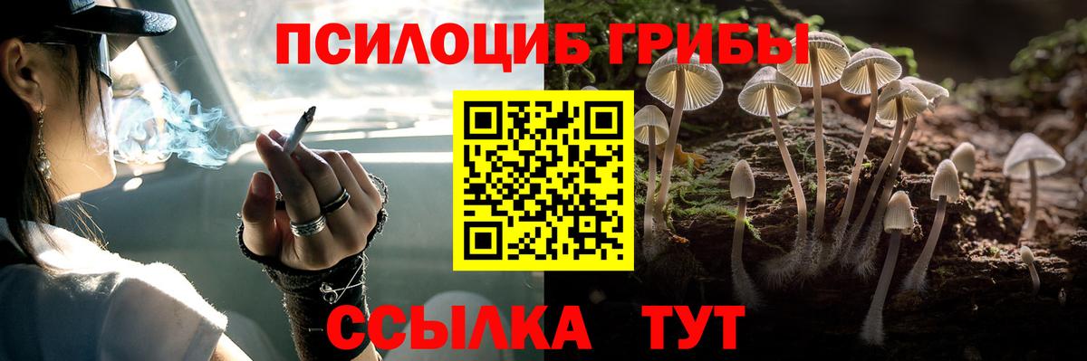 Южноуральск  Галлюциногенные грибы Cubensis  Вход с VPN 