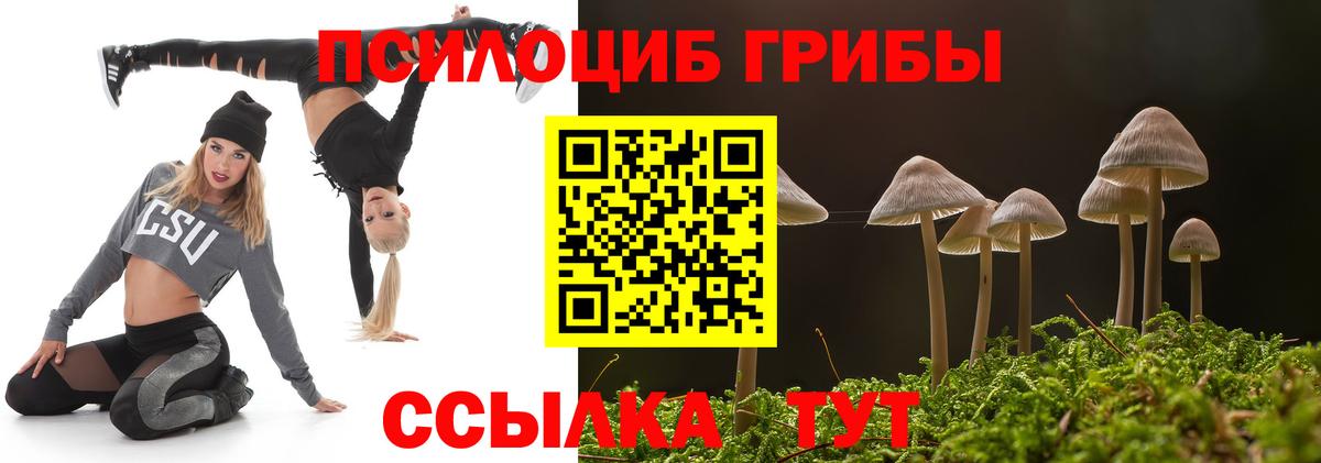 Галлюциногенные грибы GOLDEN TEACHER  Галлюциногенные грибы GOLDEN TEACHER  Южноуральск 